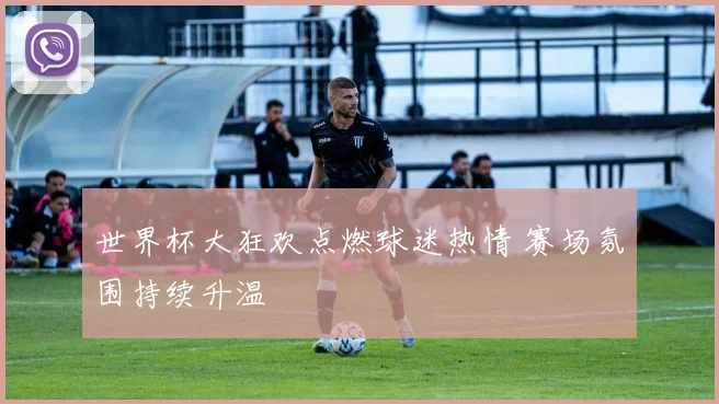 世界杯大狂欢点燃球迷热情 赛场氛围持续升温
