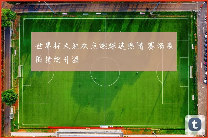 世界杯大狂欢点燃球迷热情 赛场氛围持续升温