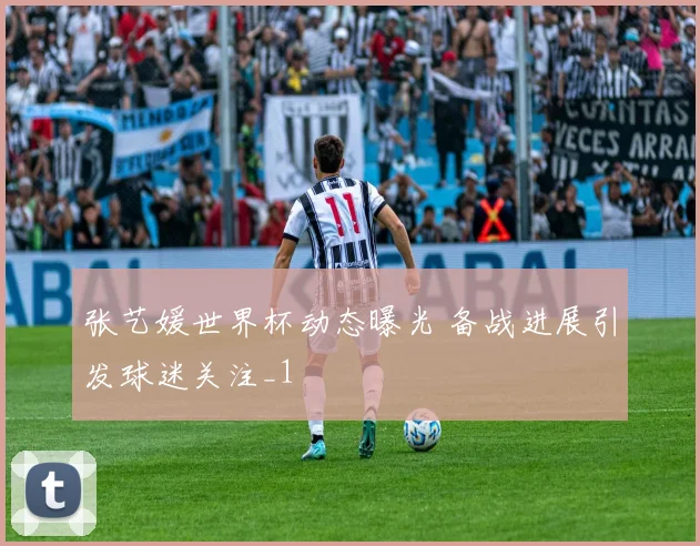 张艺媛世界杯动态曝光 备战进展引发球迷关注_1