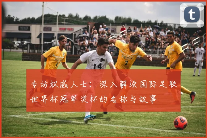 专访权威人士:深入解读国际足联世界杯冠军奖杯的名称与故事